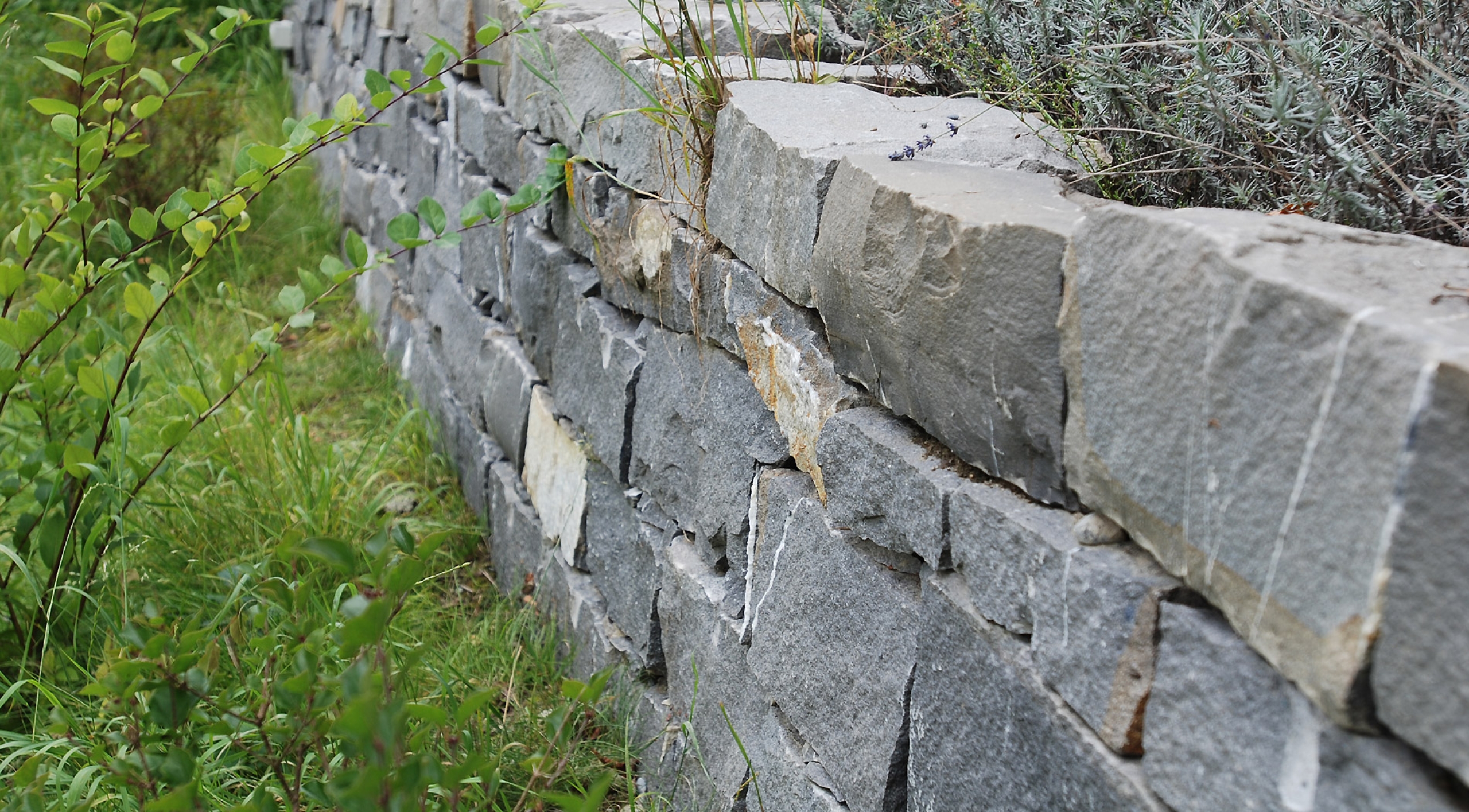 Mauer im Garten planen und bauen in der Region Bern.